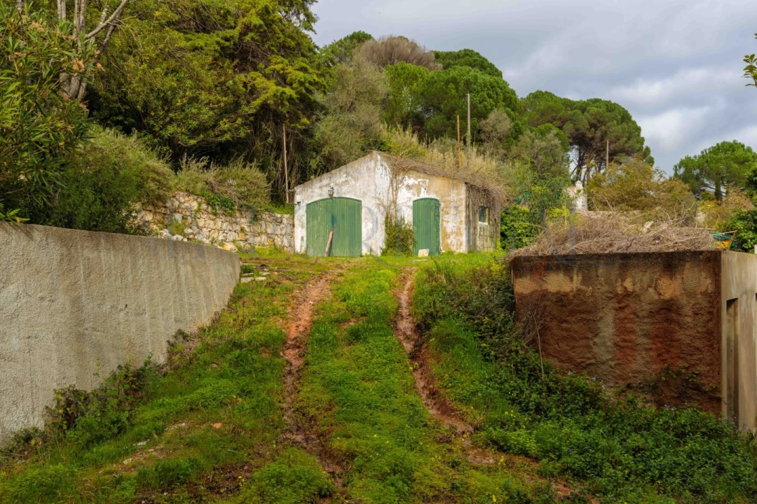 Quinta T3 para Venda em Azeitão (São Lourenço e São Simão) Foto 31