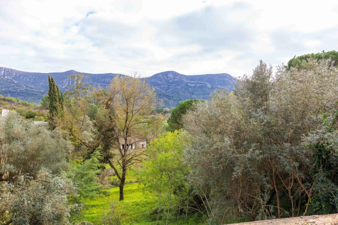 Quinta T3 para Venda em Azeitão (São Lourenço e São Simão) Foto 35