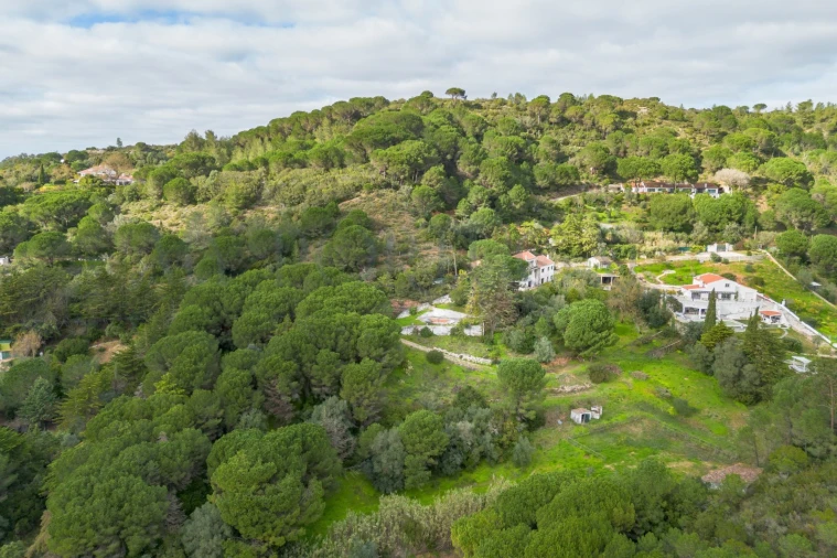 Quinta T3 para Venda em Azeitão (São Lourenço e São Simão) Foto 2