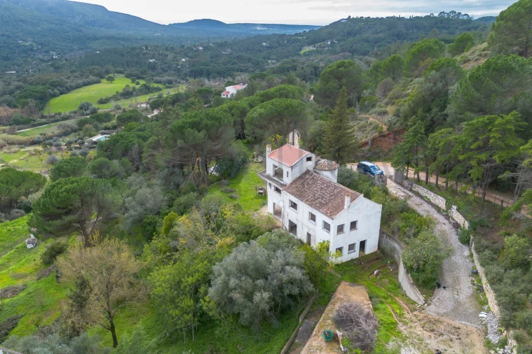 Quinta T3 para Venda em Azeitão (São Lourenço e São Simão) Foto 1