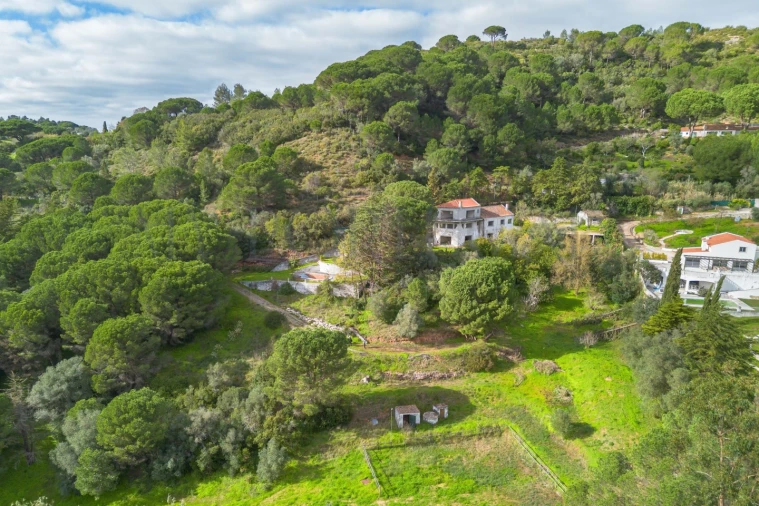 Quinta T3 para Venda em Azeitão (São Lourenço e São Simão) Foto 5