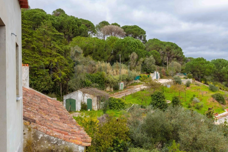 Quinta T3 para Venda em Azeitão (São Lourenço e São Simão) Foto 7