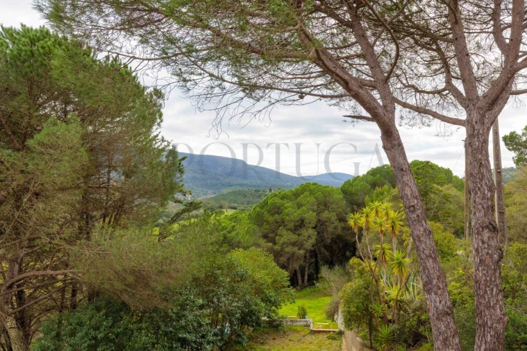 Quinta T3 para Venda em Azeitão (São Lourenço e São Simão) Foto 12