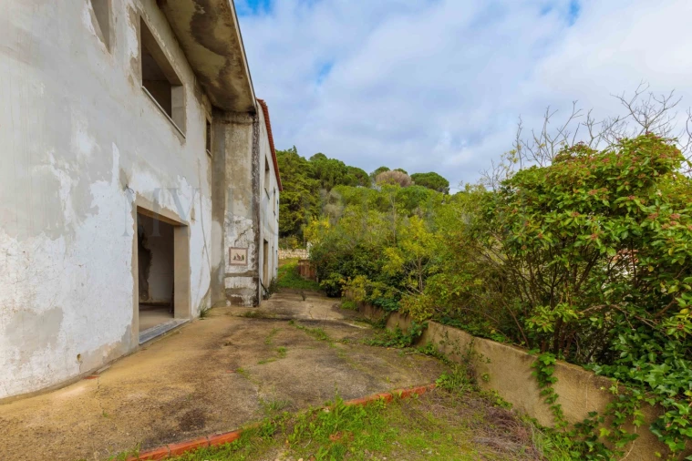 Quinta T3 para Venda em Azeitão (São Lourenço e São Simão) Foto 24