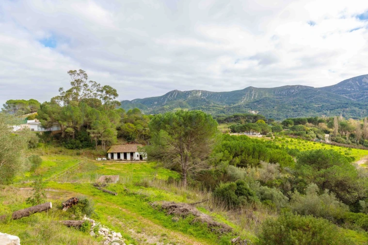 Quinta T3 para Venda em Azeitão (São Lourenço e São Simão) Foto 28