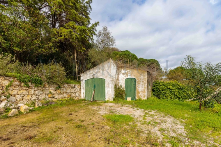 Quinta T3 para Venda em Azeitão (São Lourenço e São Simão) Foto 33