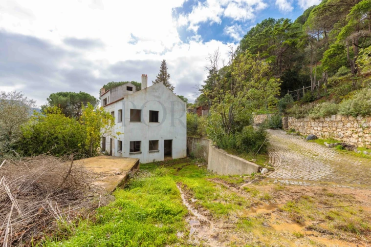 Quinta T3 para Venda em Azeitão (São Lourenço e São Simão) Foto 34