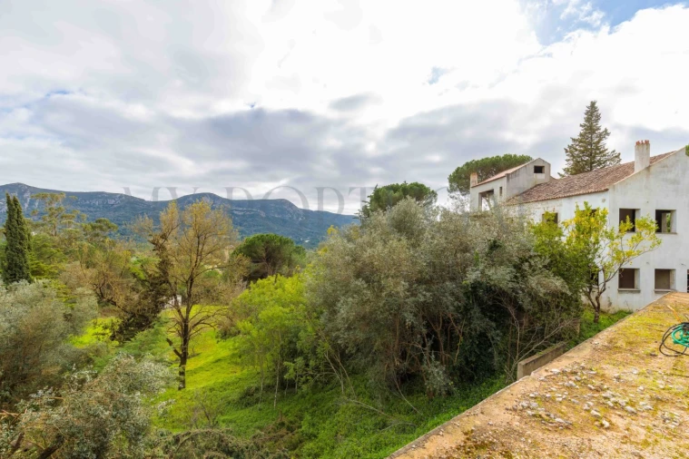 Quinta T3 para Venda em Azeitão (São Lourenço e São Simão) Foto 36