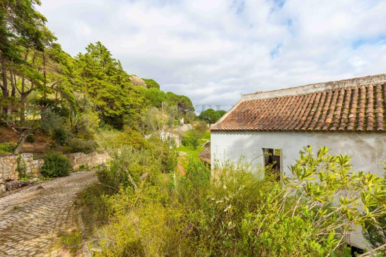 Quinta T3 para Venda em Azeitão (São Lourenço e São Simão) Foto 37