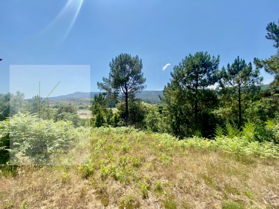 Moradia T2 para Venda em Cabração e Moreira do Lima Foto 9