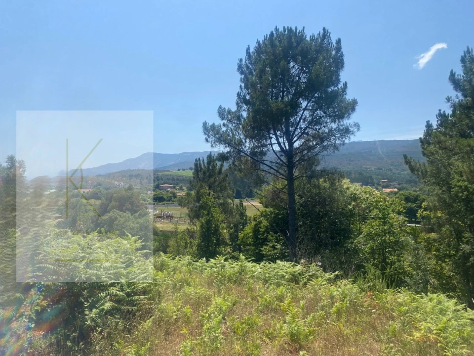 Moradia T2 para Venda em Cabração e Moreira do Lima Foto 13