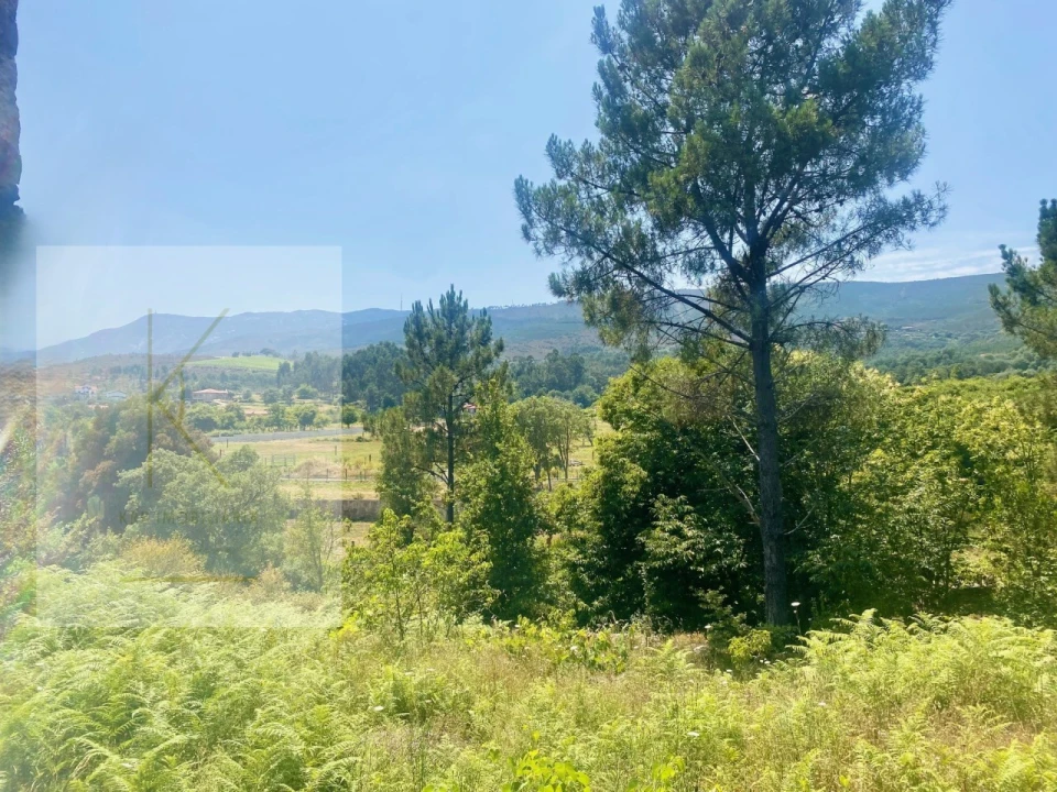 Moradia T2 para Venda em Cabração e Moreira do Lima Foto 15