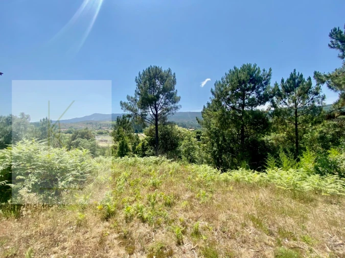 Moradia T2 para Venda em Cabração e Moreira do Lima Foto 9