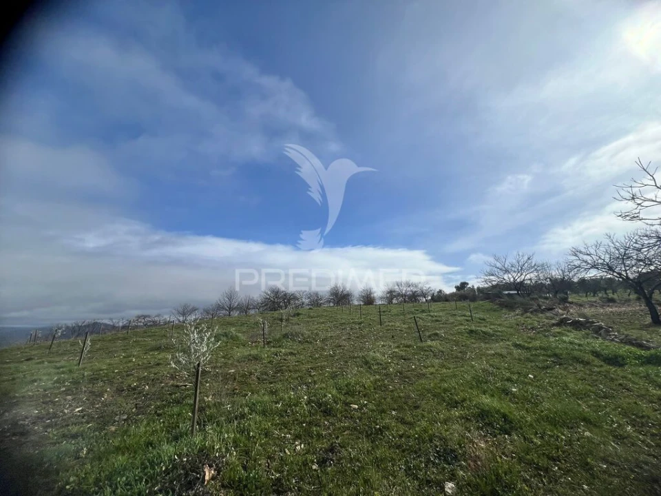 Terreno para Venda em Povoa de Penela Foto 11