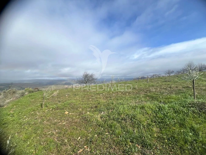 Terreno para Venda em Povoa de Penela Foto 9