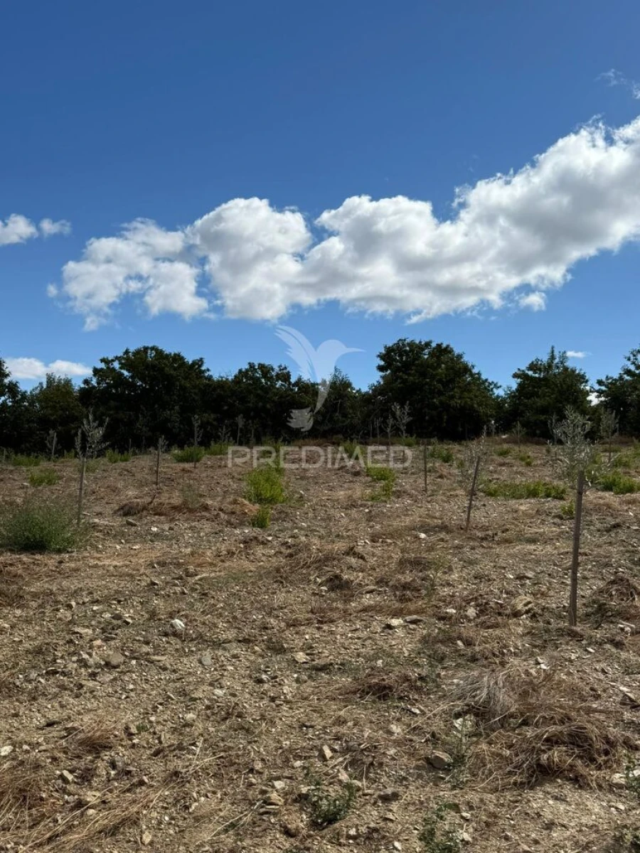 Terreno para Venda em Povoa de Penela