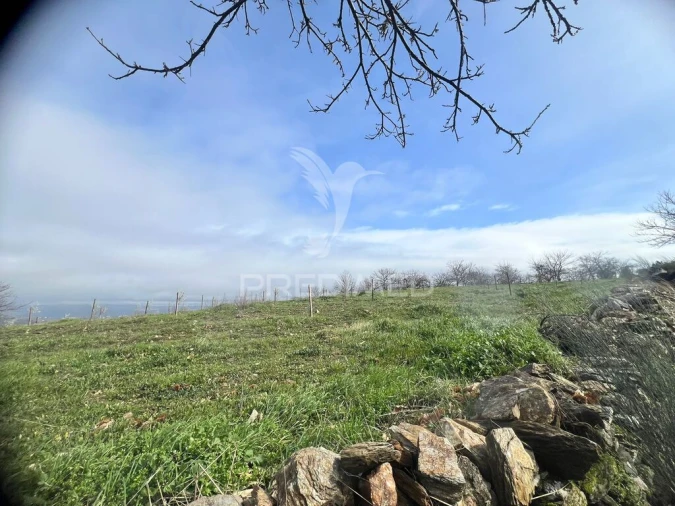 Terreno para Venda em Povoa de Penela Foto 12