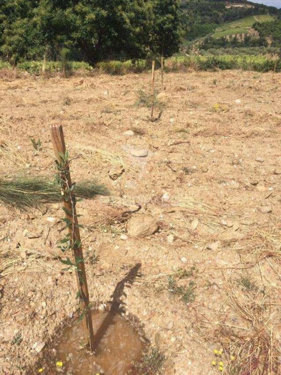 Terreno para Venda em Povoa de Penela Foto 2