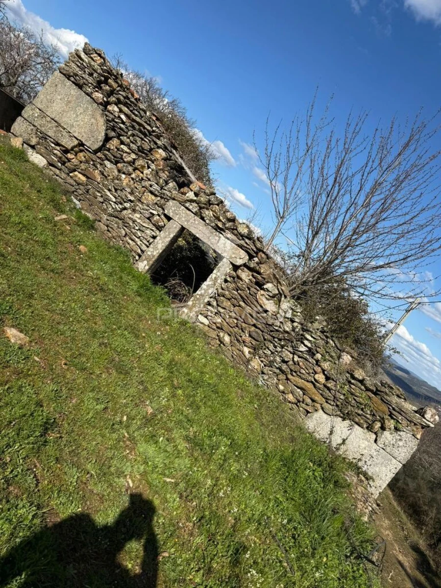 Terreno para Venda em Povoa de Penela Foto 7