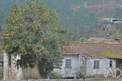 Moradia T3 para Venda em Gondomil e Sanfins