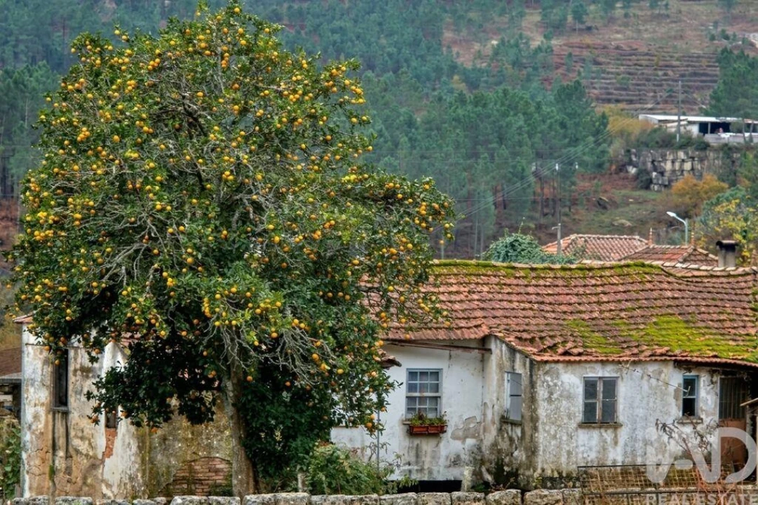 Moradia T3 para Venda em Gondomil e Sanfins Foto 2