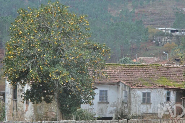 Moradia T3 para Venda em Gondomil e Sanfins Foto 5