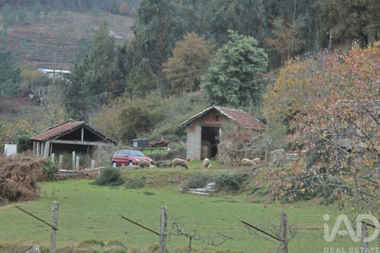 Moradia T3 para Venda em Gondomil e Sanfins Foto 8