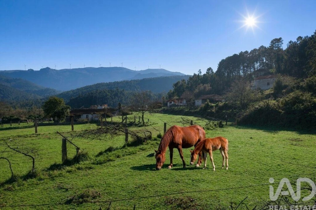 Moradia T3 para Venda em Gondomil e Sanfins Foto 7