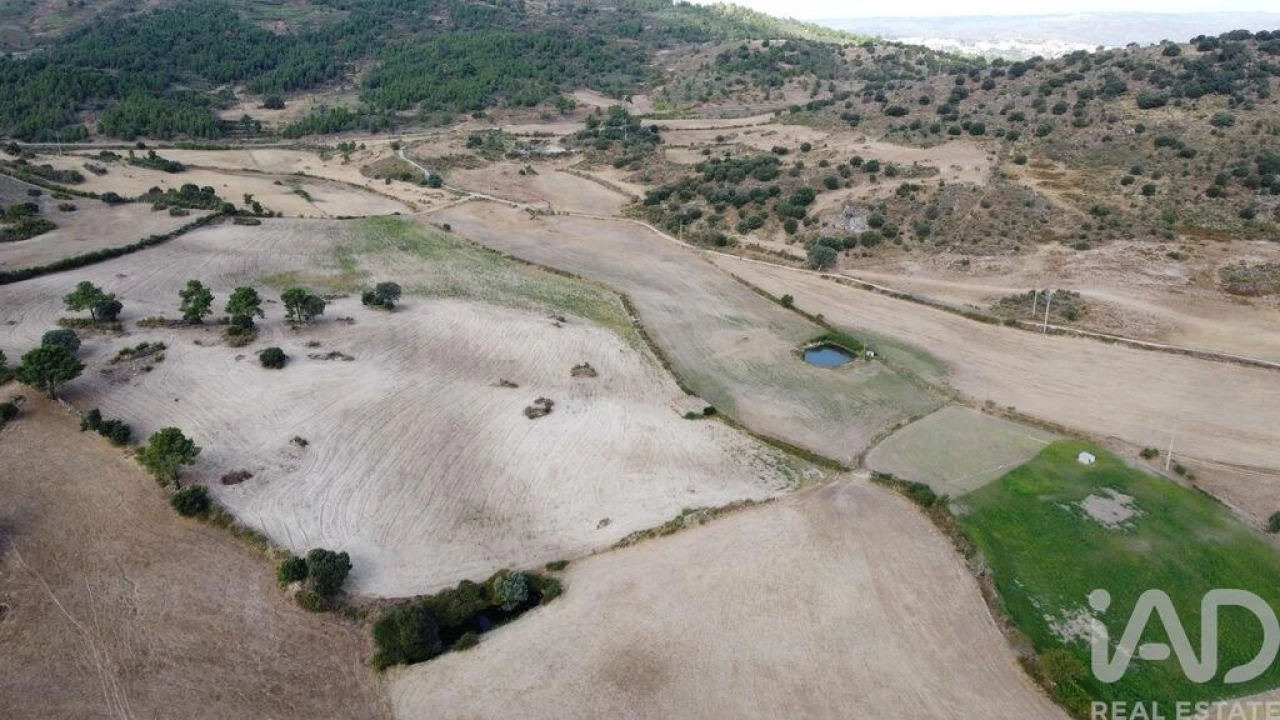 Quinta T7 para Venda em Lajeosa do Mondego Foto 7