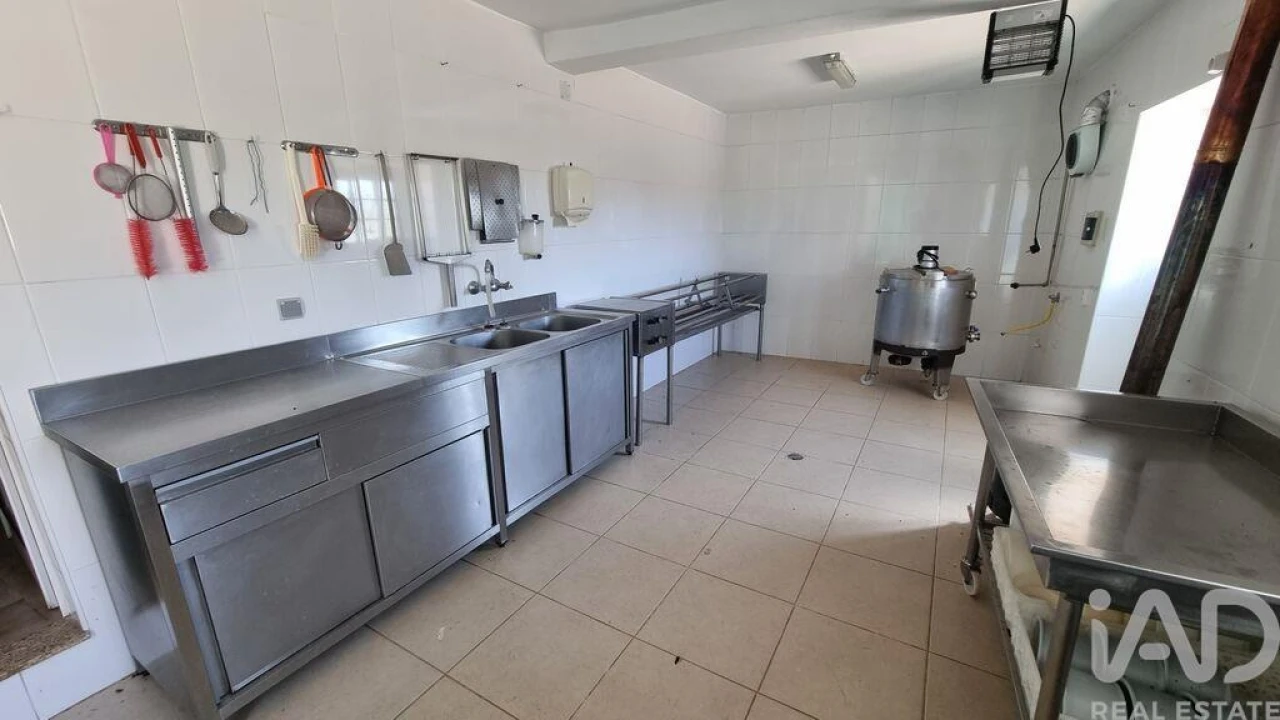 Quinta T7 para Venda em Lajeosa do Mondego Foto 26