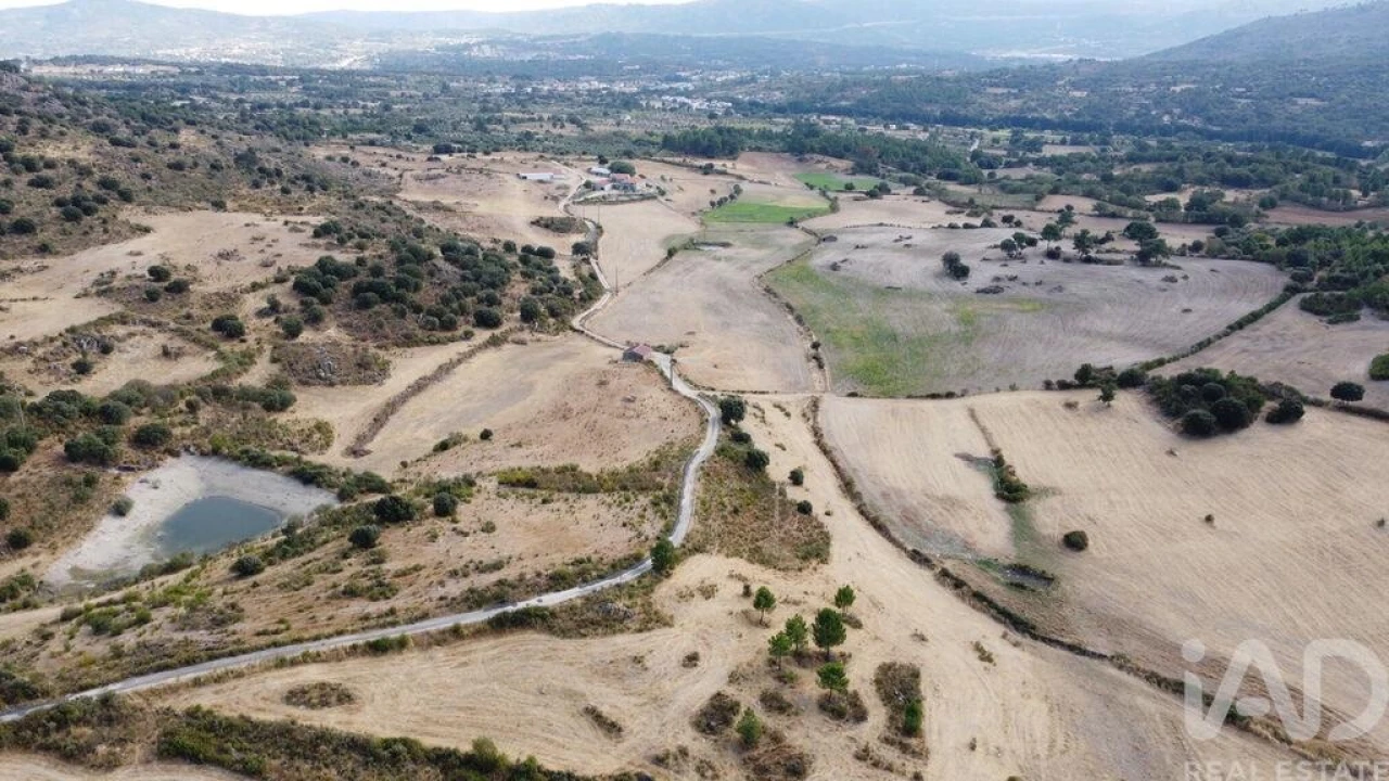 Quinta T7 para Venda em Lajeosa do Mondego Foto 6