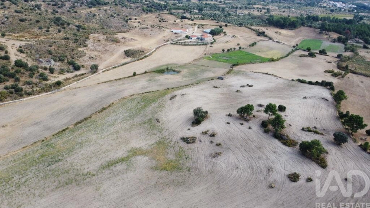 Quinta T7 para Venda em Lajeosa do Mondego Foto 8