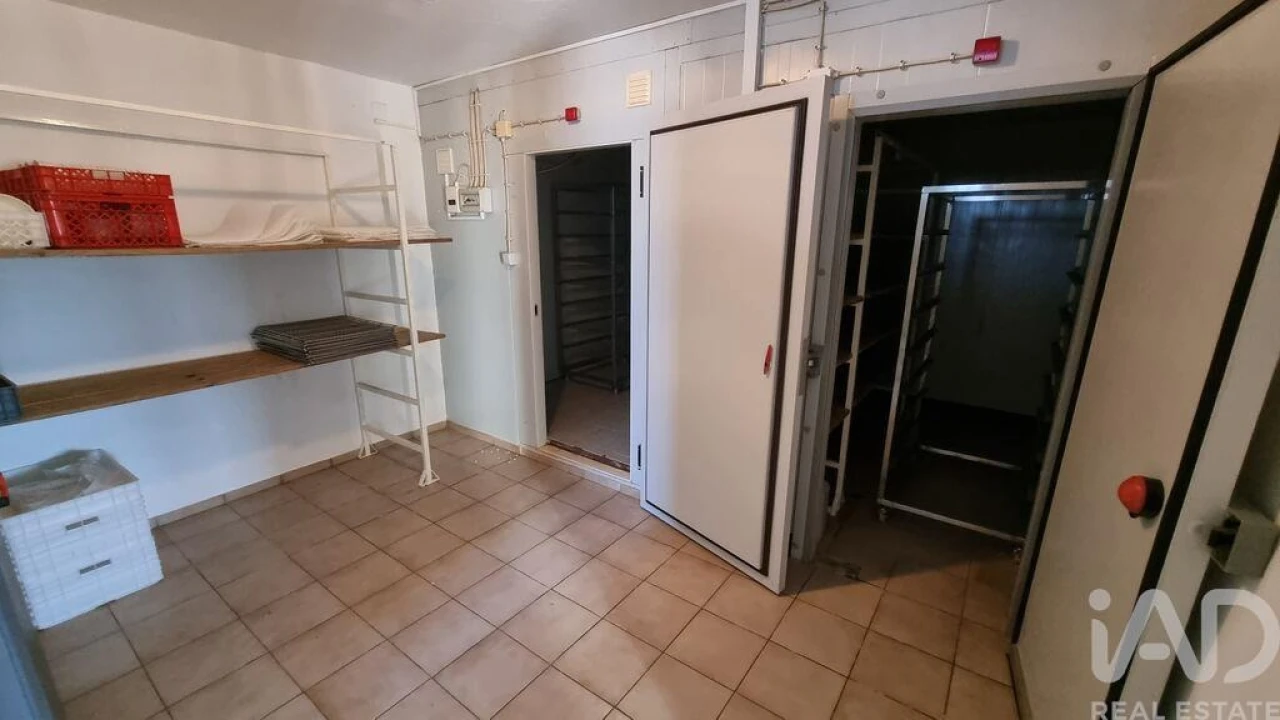 Quinta T7 para Venda em Lajeosa do Mondego Foto 28