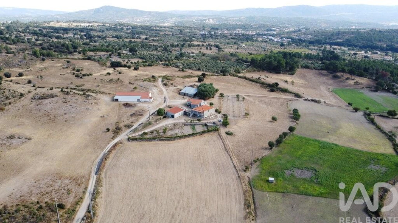 Quinta T7 para Venda em Lajeosa do Mondego Foto 1