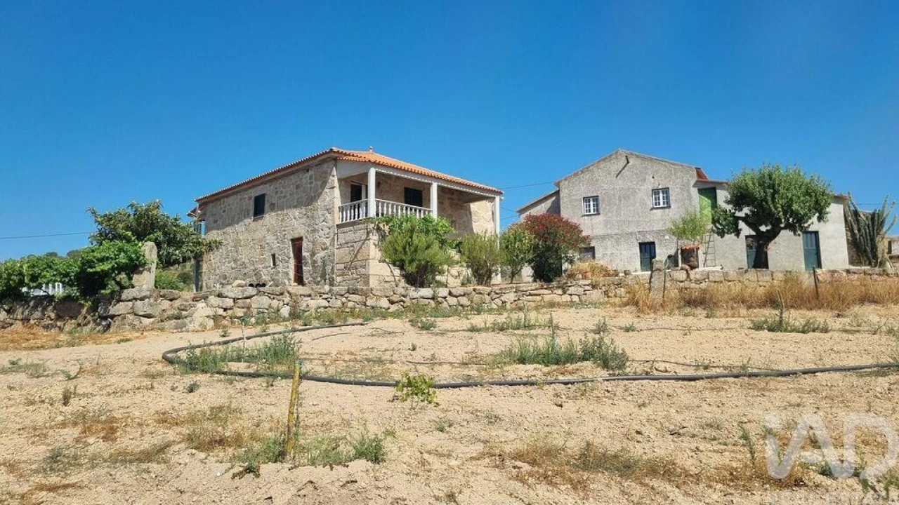 Quinta T7 para Venda em Lajeosa do Mondego Foto 9