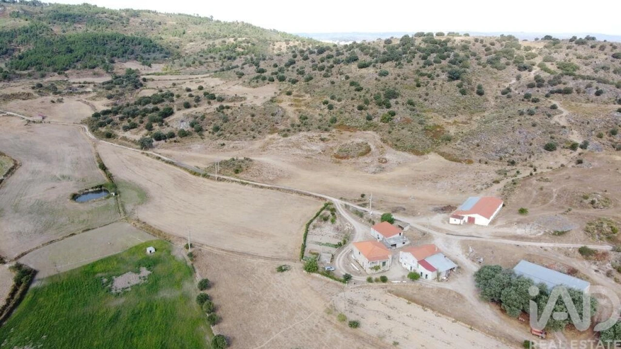 Quinta T7 para Venda em Lajeosa do Mondego Foto 38