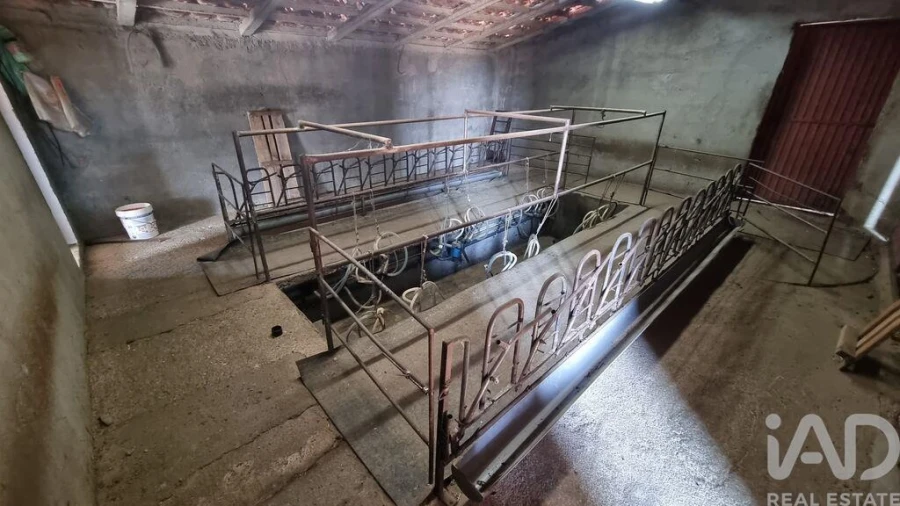 Quinta T7 para Venda em Lajeosa do Mondego Foto 32