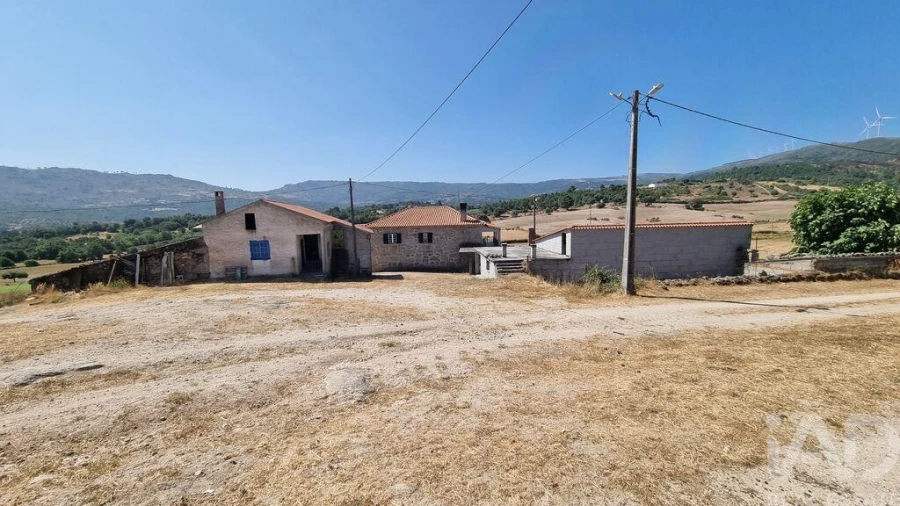 Quinta T7 para Venda em Lajeosa do Mondego Foto 19