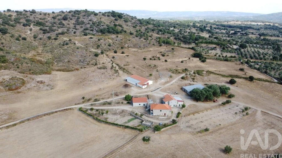 Quinta T7 para Venda em Lajeosa do Mondego Foto 5