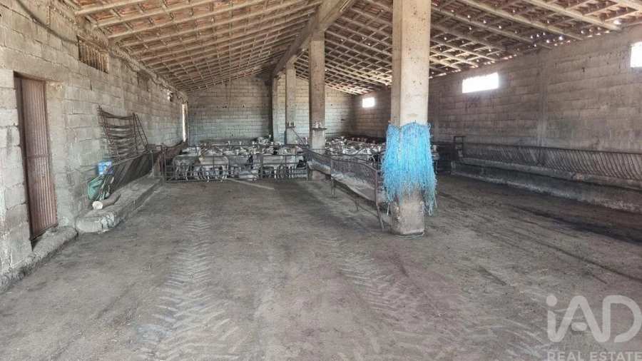 Quinta T7 para Venda em Lajeosa do Mondego Foto 31