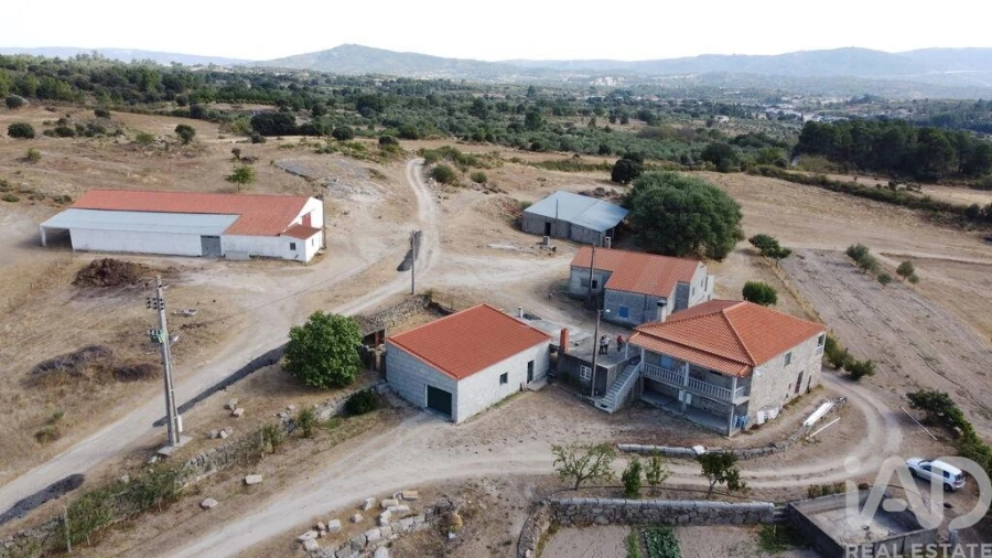 Quinta T7 para Venda em Lajeosa do Mondego Foto 2