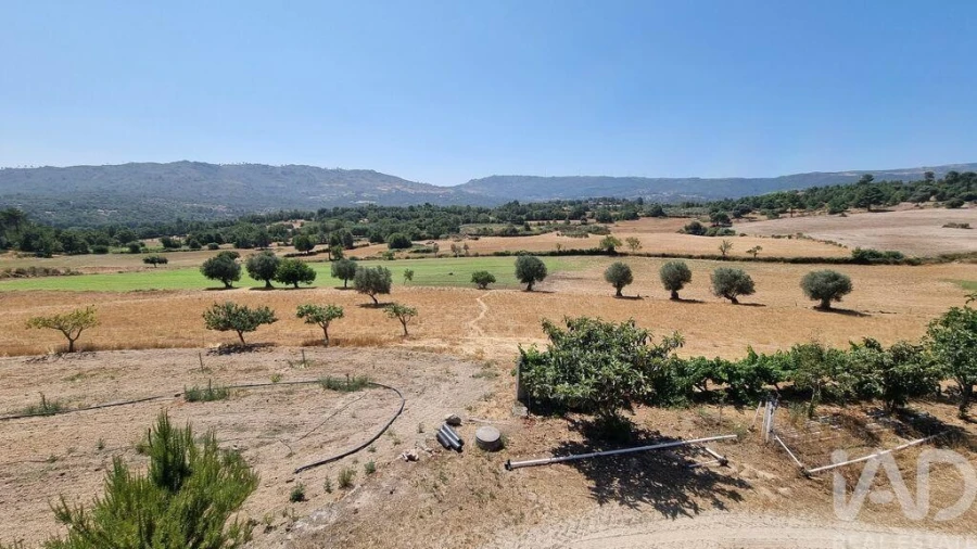 Quinta T7 para Venda em Lajeosa do Mondego Foto 33