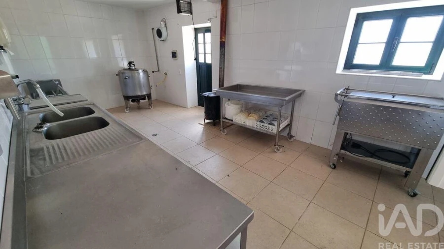 Quinta T7 para Venda em Lajeosa do Mondego Foto 27