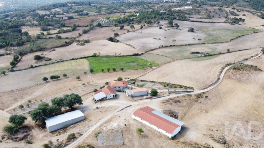 Quinta T7 para Venda em Lajeosa do Mondego Foto 4