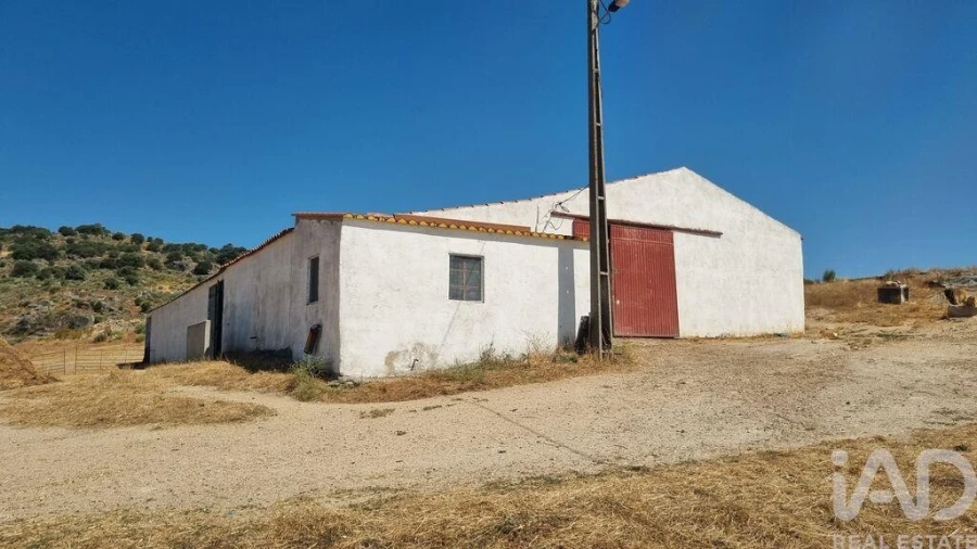 Quinta T7 para Venda em Lajeosa do Mondego Foto 30