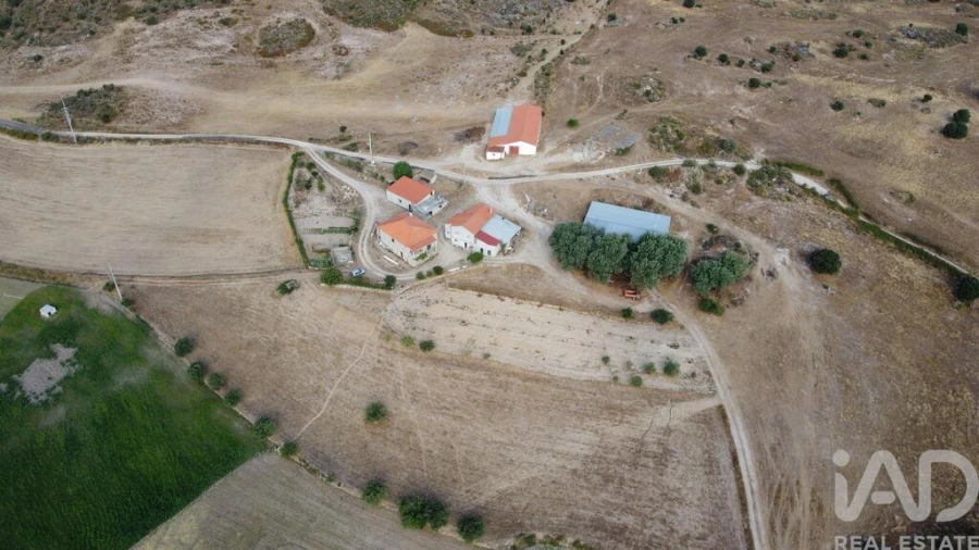 Quinta T7 para Venda em Lajeosa do Mondego Foto 39