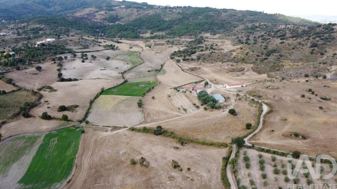 Quinta T7 para Venda em Lajeosa do Mondego Foto 3