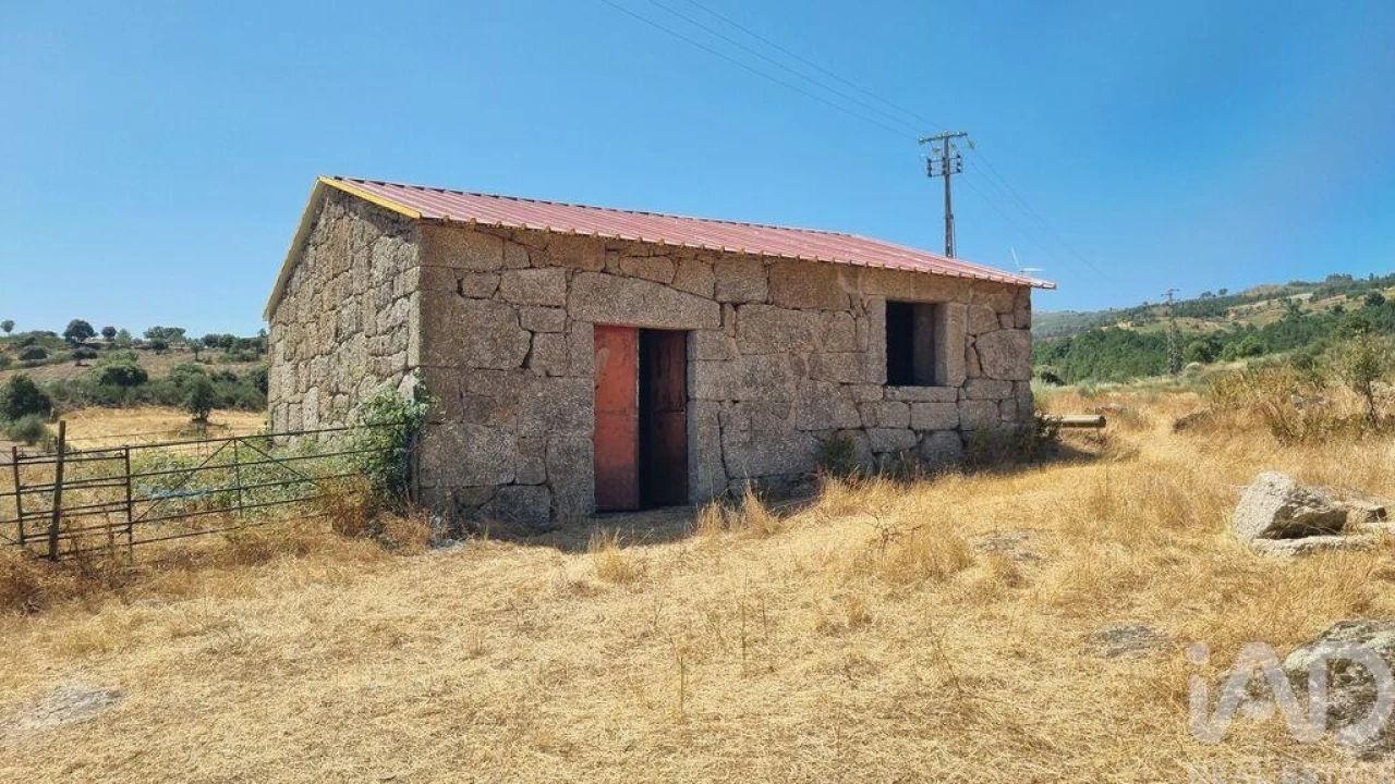 Quinta T7 para Venda em Lajeosa do Mondego Foto 37