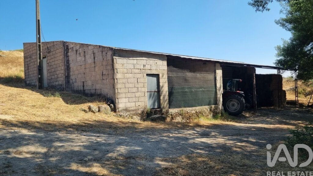 Quinta T7 para Venda em Lajeosa do Mondego Foto 35