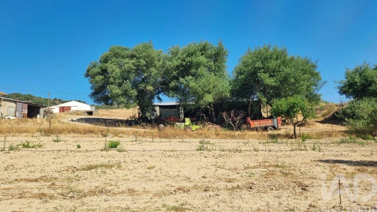 Quinta T7 para Venda em Lajeosa do Mondego Foto 36